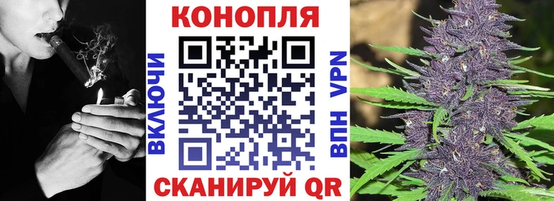 Бошки марихуана THC 21%  MEGA рабочий сайт  Спасск 